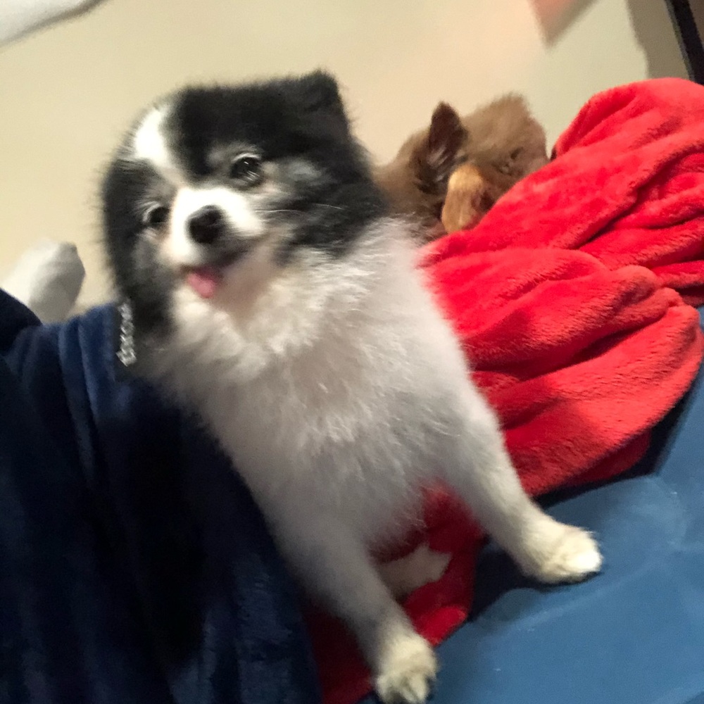 Meet your Posher, Jocelyn